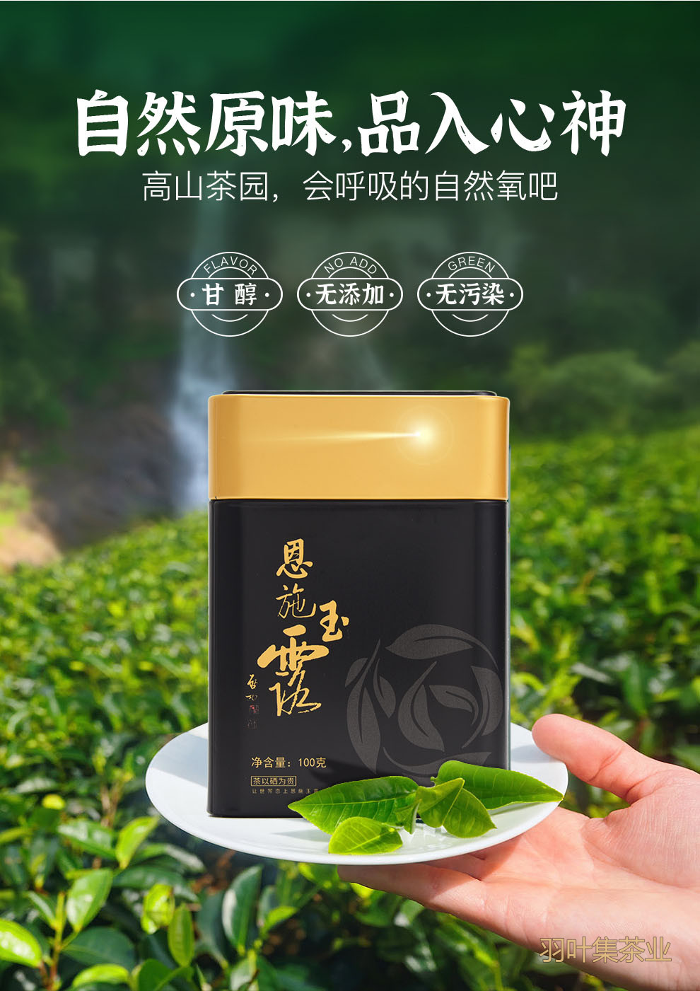 羽叶集恩施玉露早春绿茶高山羽叶集恩施硒茶蒸青茶叶自己喝口粮茶冷泡茶罐装100g