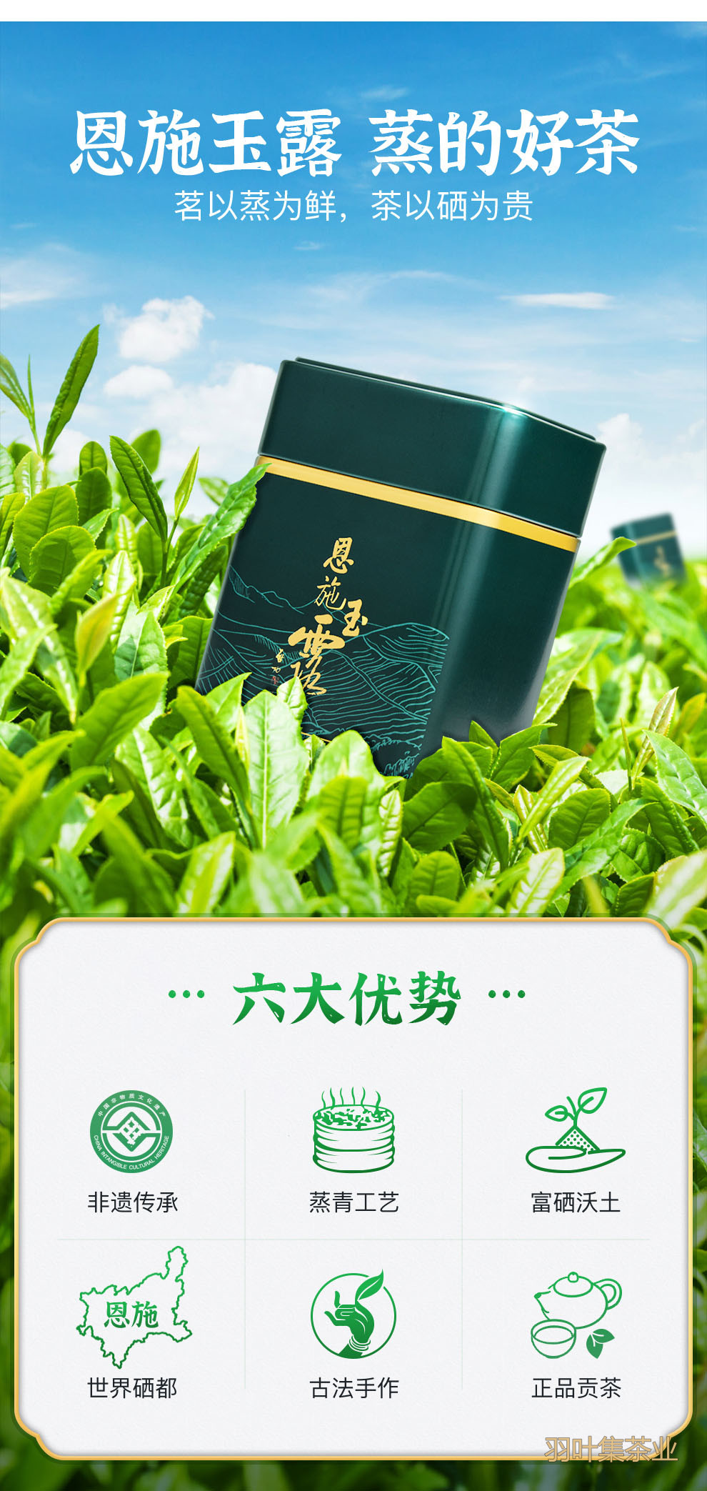 羽叶集恩施玉露明前一级早春绿茶恩施硒茶蒸青口粮茶羽颂100g