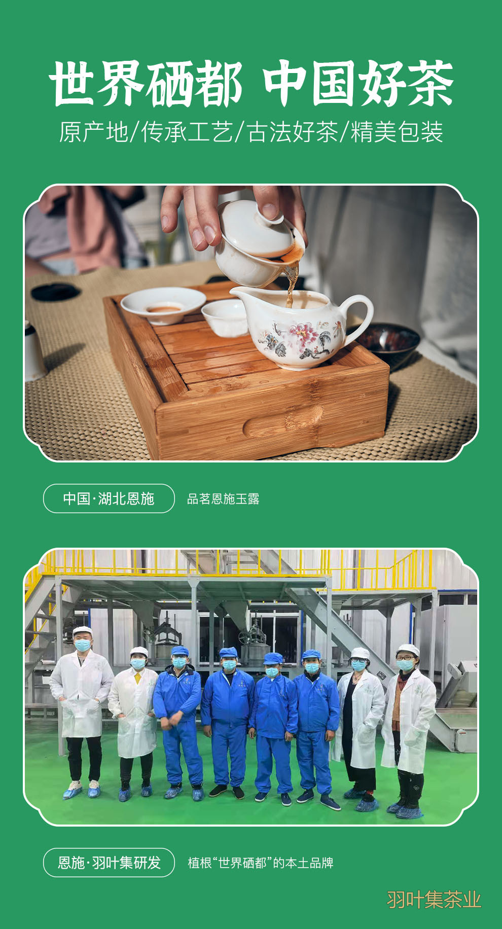 羽叶集恩施玉露早春绿茶高山羽叶集恩施硒茶蒸青茶叶自己喝口粮茶冷泡茶罐装100g