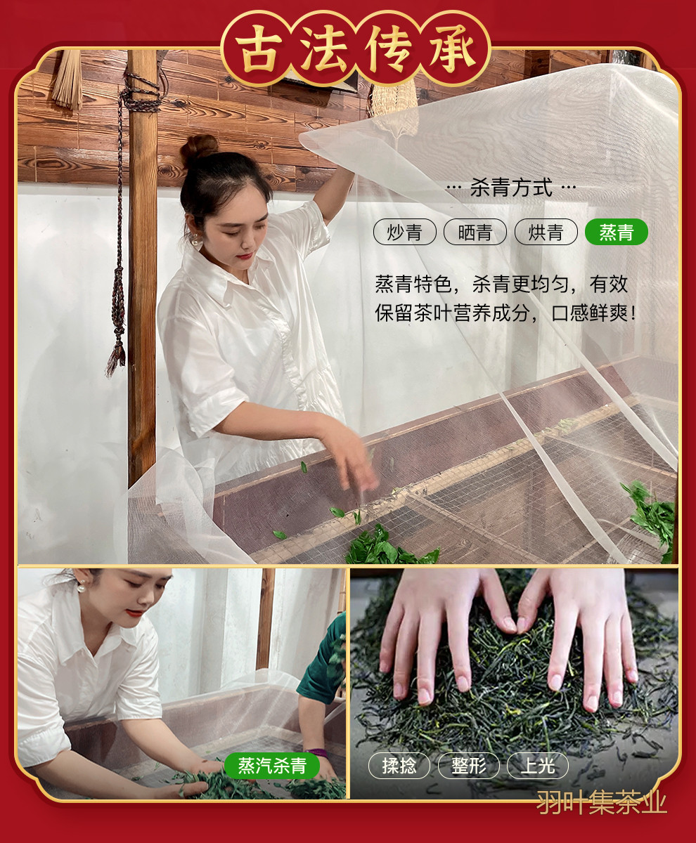 羽叶集恩施玉露明前一级早春绿茶恩施硒茶蒸青口粮茶羽颂100g