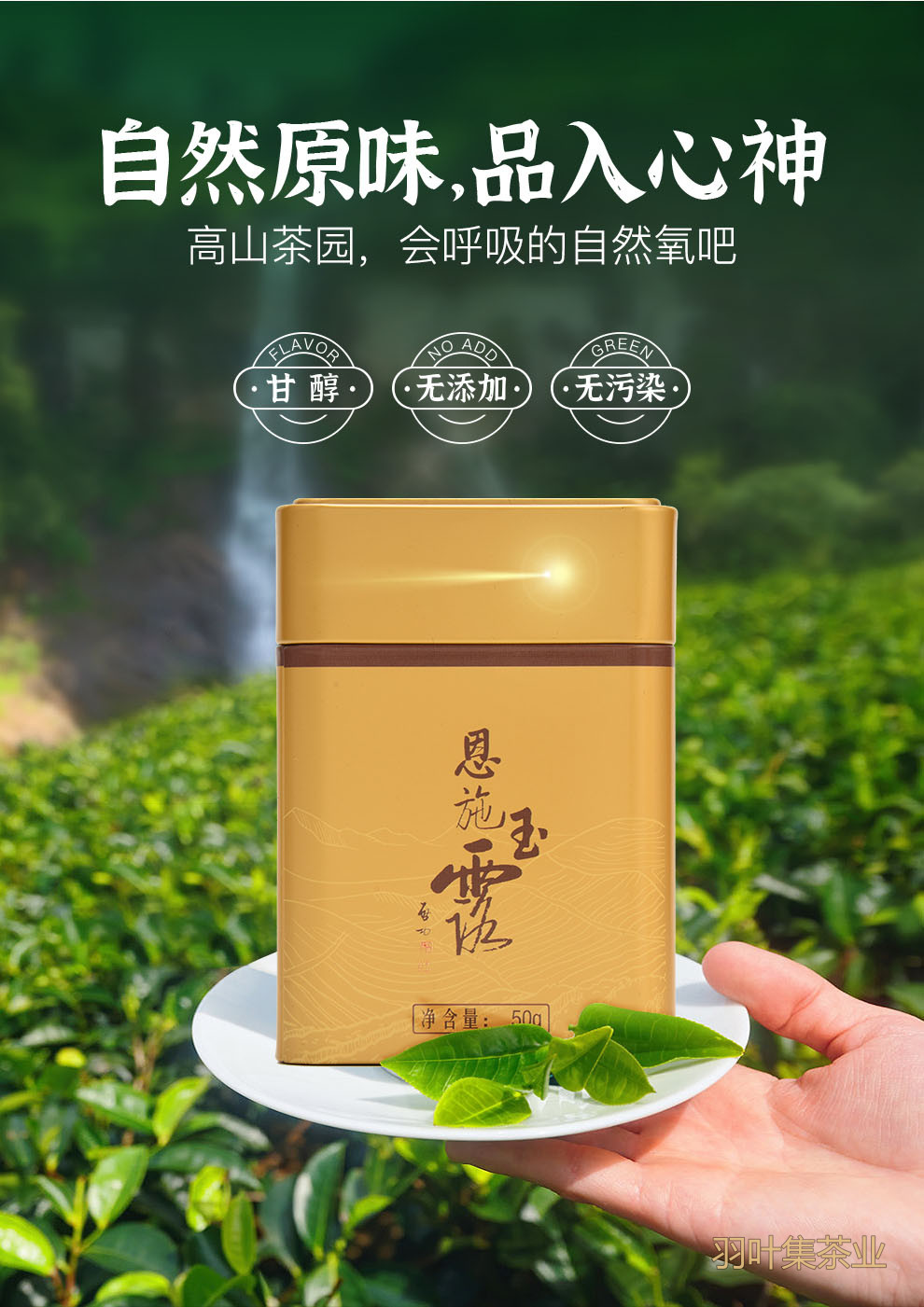 羽叶集明前特级恩施玉露羽乐50g