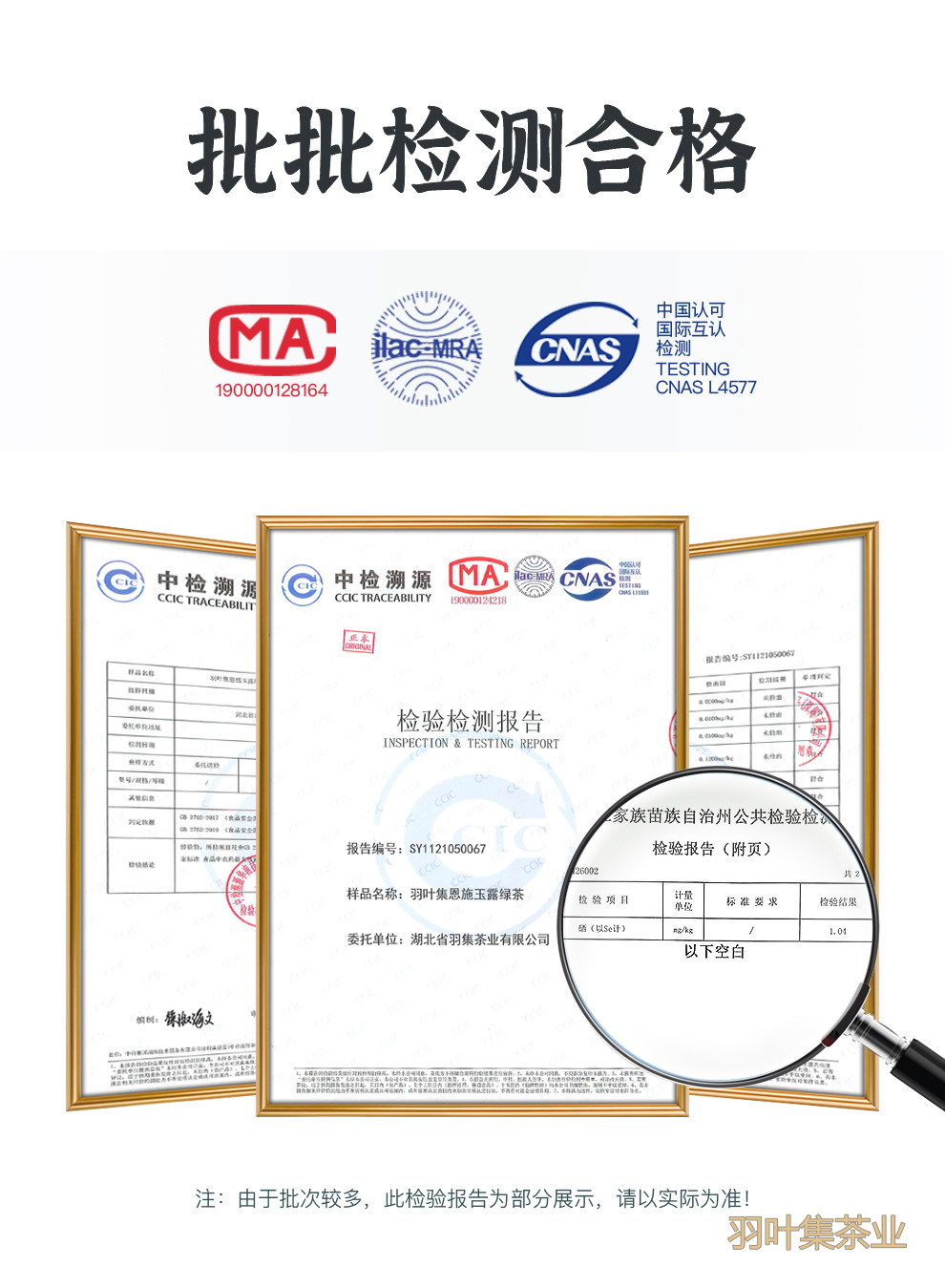 羽叶集恩施玉露明前一级早春绿茶恩施硒茶蒸青口粮茶羽颂100g