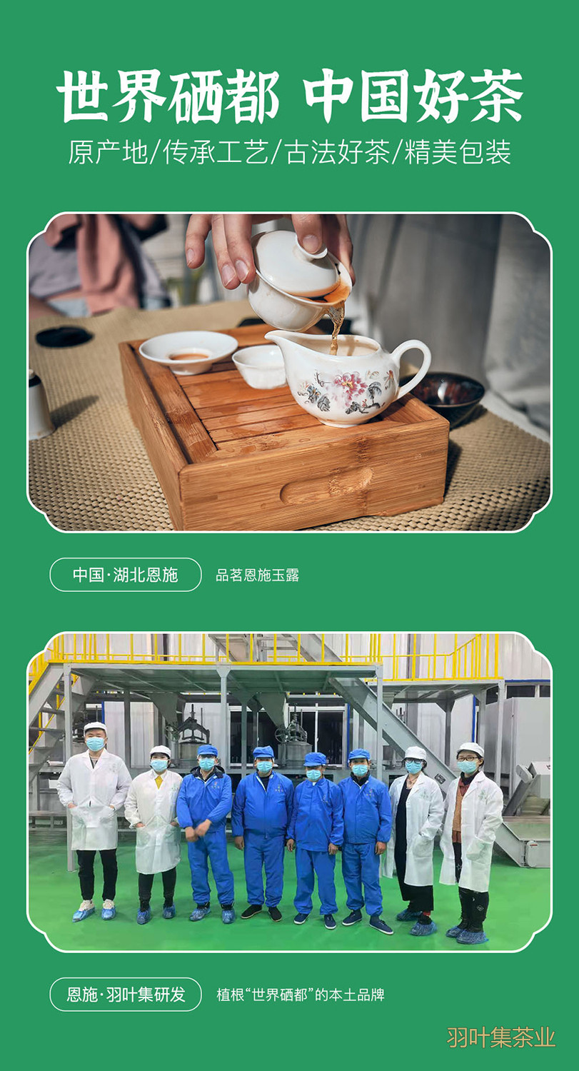 羽叶集明前特级恩施玉露羽乐50g