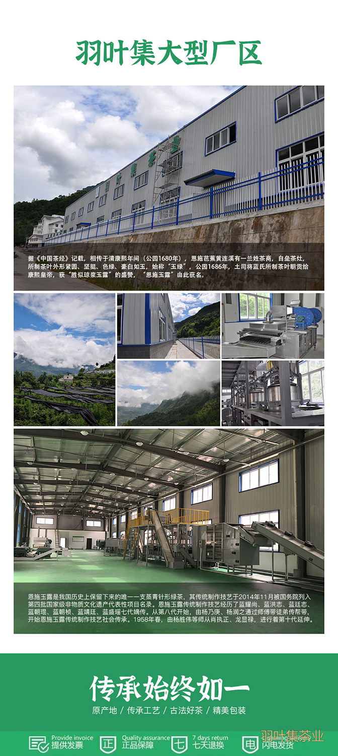 羽叶集明前特级恩施玉露羽乐50g