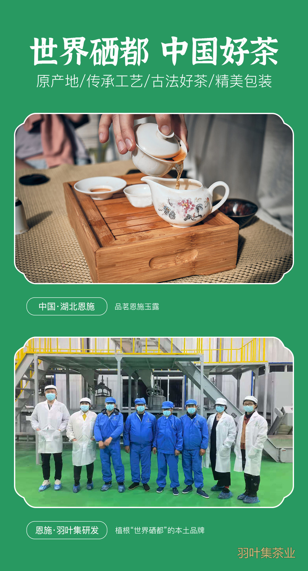 羽叶集恩施玉露明前一级早春绿茶恩施硒茶蒸青口粮茶羽颂100g