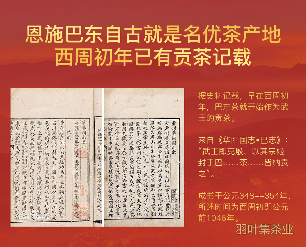 羽叶集恩施玉露明前一级早春绿茶恩施硒茶蒸青口粮茶羽颂100g