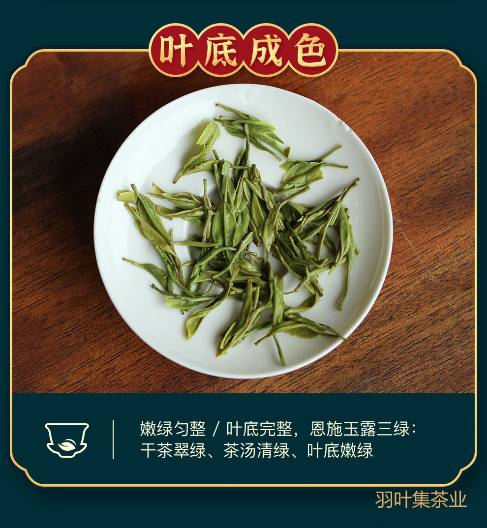 羽叶集明前特级恩施玉露羽乐50g