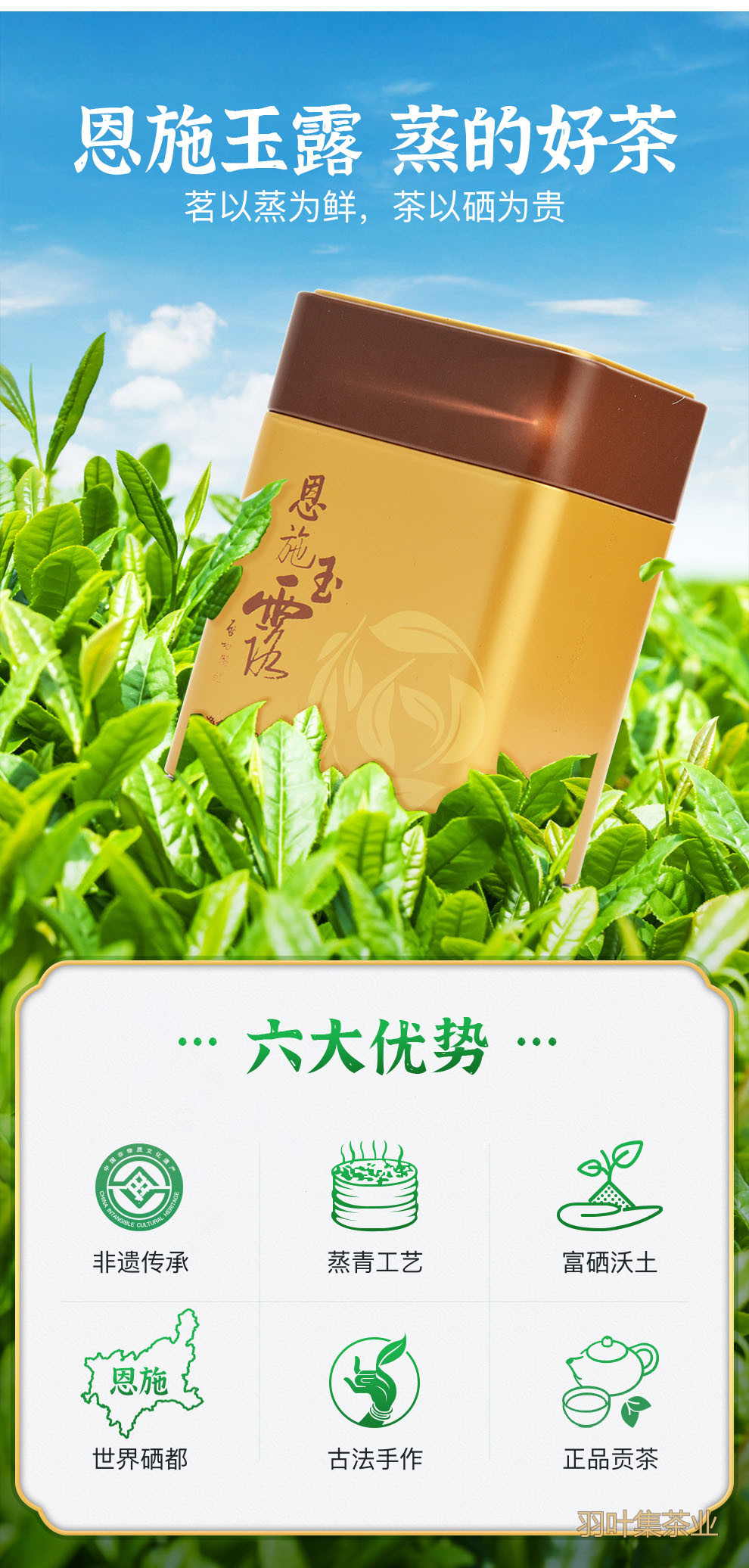 恩施玉露明前特级蒸青绿茶羽叶集恩施硒茶冷泡茶口粮茶叶自己喝办公茶100g