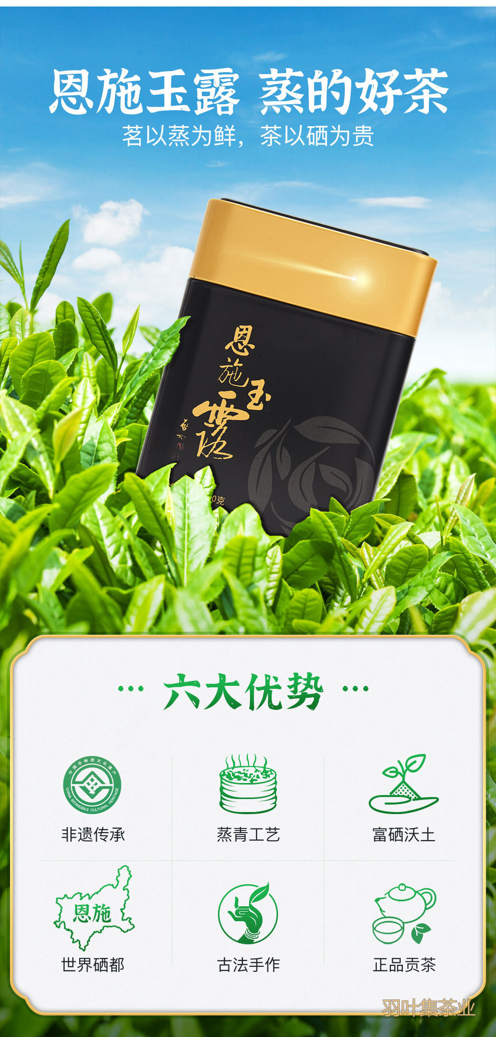 羽叶集恩施玉露早春绿茶高山羽叶集恩施硒茶蒸青茶叶自己喝口粮茶冷泡茶罐装100g