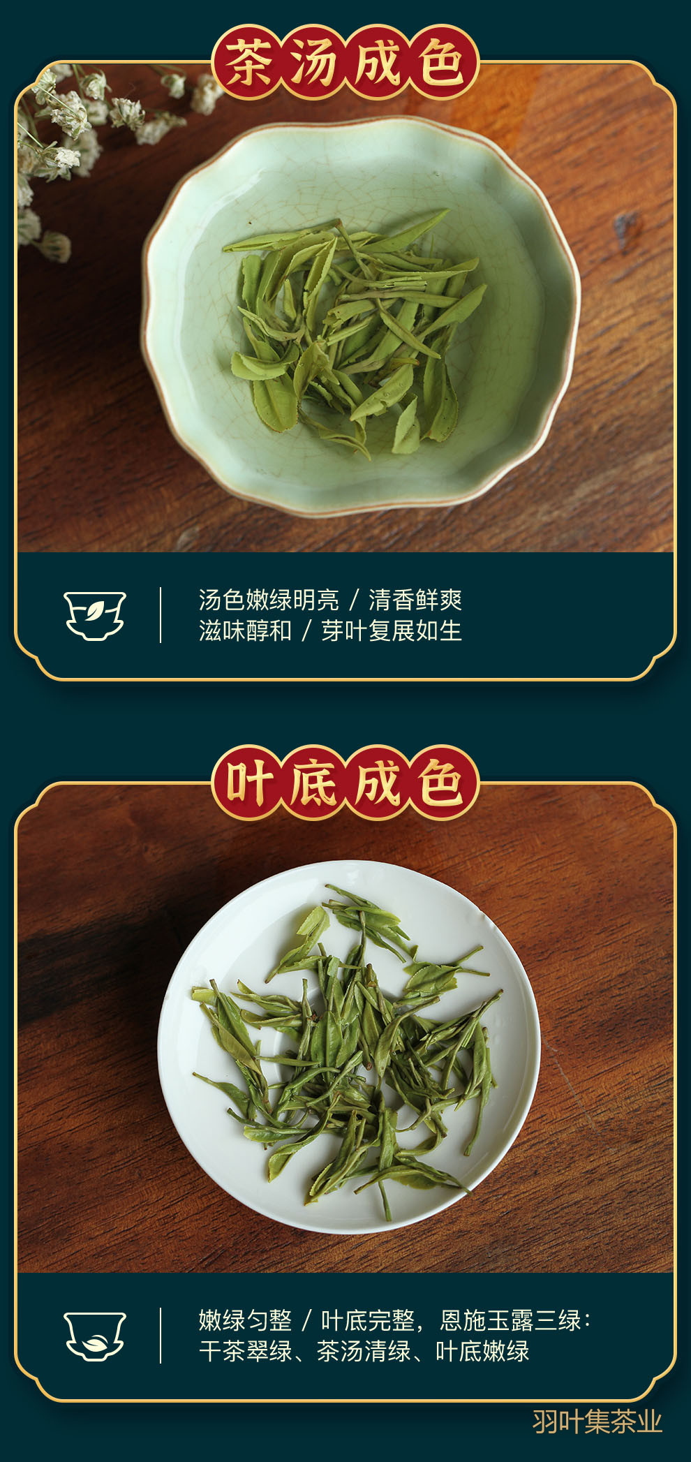 羽叶集恩施玉露明前一级早春绿茶恩施硒茶蒸青口粮茶羽颂100g