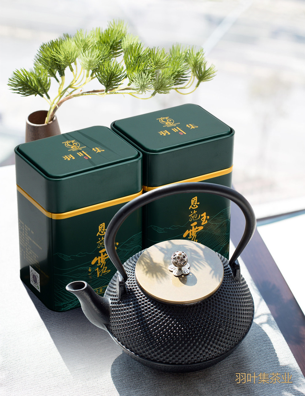 羽叶集恩施玉露明前一级早春绿茶恩施硒茶蒸青口粮茶羽颂100g