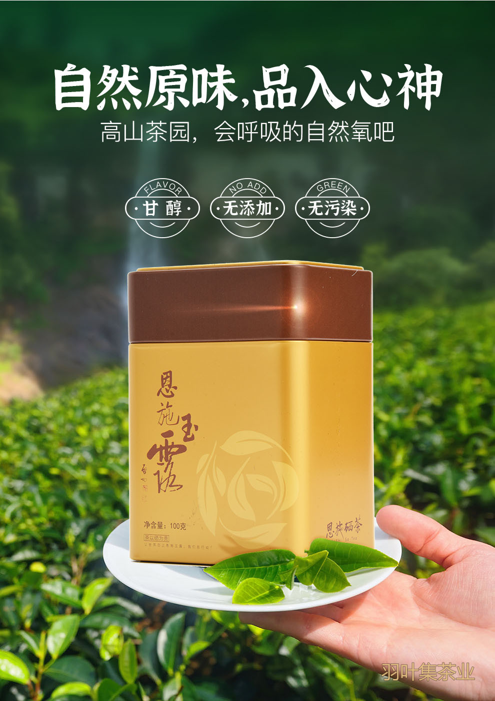 恩施玉露明前特级蒸青绿茶羽叶集恩施硒茶冷泡茶口粮茶叶自己喝办公茶100g