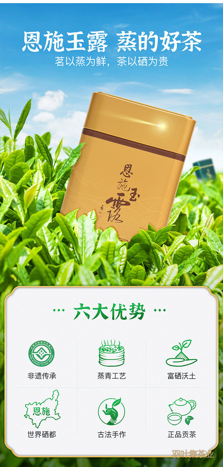 羽叶集明前特级恩施玉露羽乐50g