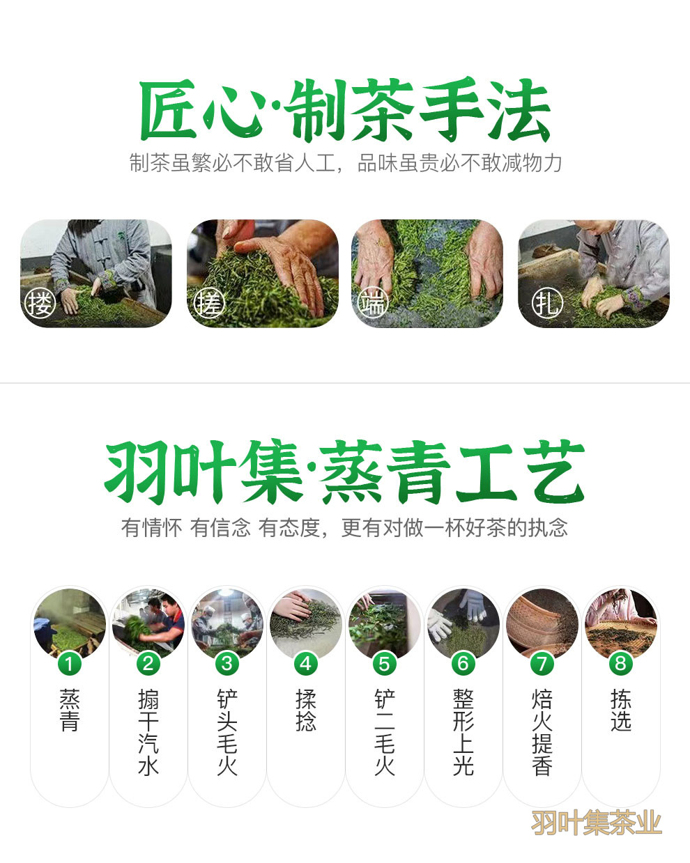 羽叶集恩施玉露早春绿茶高山羽叶集恩施硒茶蒸青茶叶自己喝口粮茶冷泡茶罐装100g