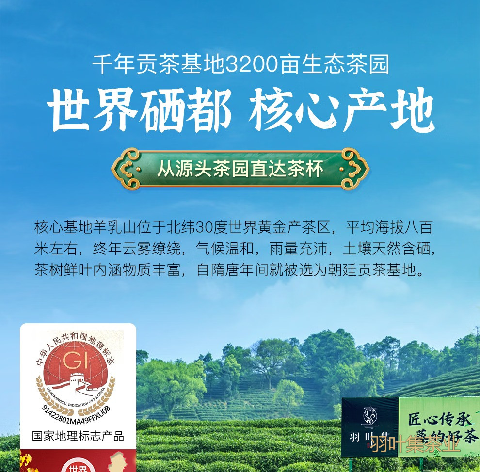 羽叶集恩施玉露明前特级头采绿茶羽叶集茶叶礼盒 中秋节送礼国庆节送长辈200g