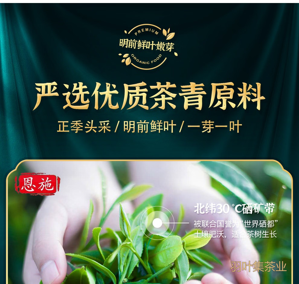 羽叶集恩施玉露明前特级头采绿茶羽叶集茶叶礼盒 中秋节送礼国庆节送长辈200g