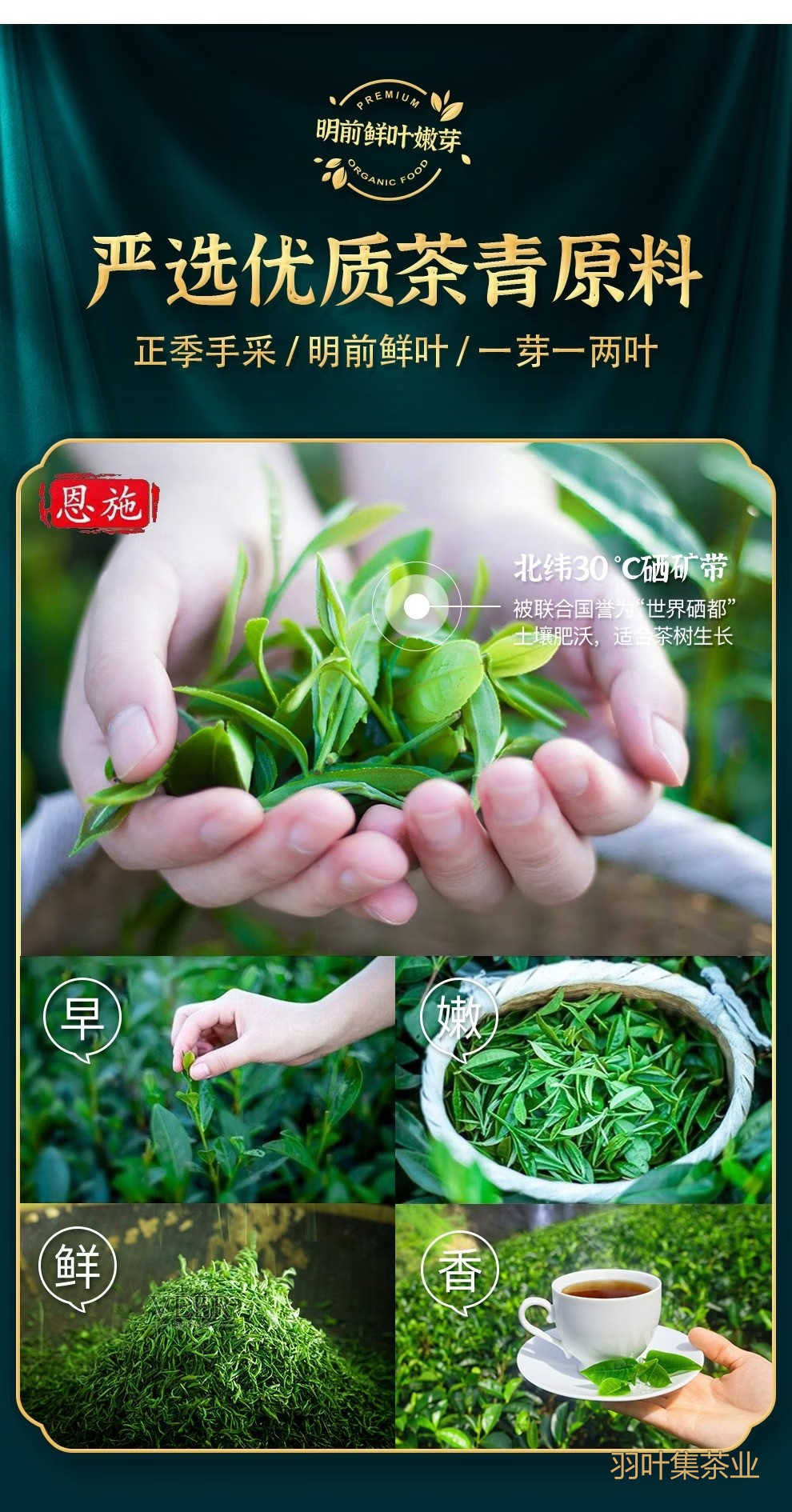 羽叶集恩施硒茶炒青绿茶自己喝口粮茶中秋节国庆节送礼500g