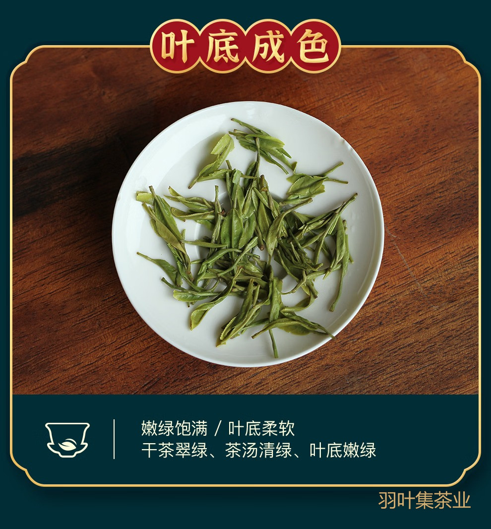 羽叶集恩施玉露明前特级头采绿茶羽叶集茶叶礼盒 中秋节送礼国庆节送长辈200g