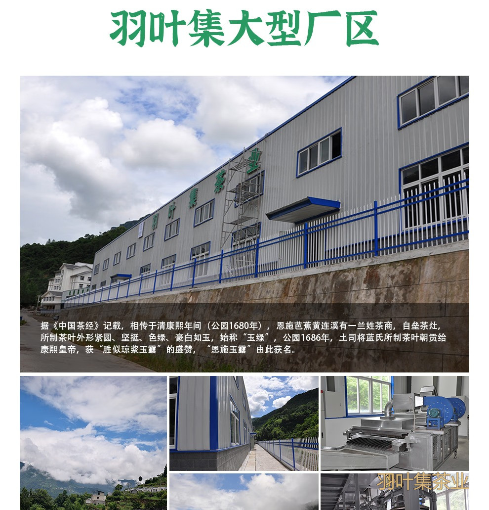 羽叶集恩施硒茶炒青绿茶自己喝口粮茶中秋节国庆节送礼500g