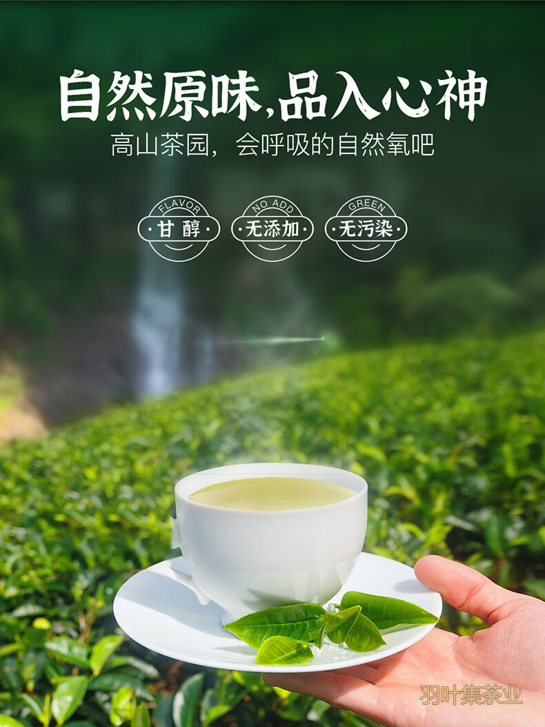 羽叶集恩施玉露明前头采特级硒茶羽叶集蒸青绿茶茶叶礼盒中秋节国庆节送长辈200g
