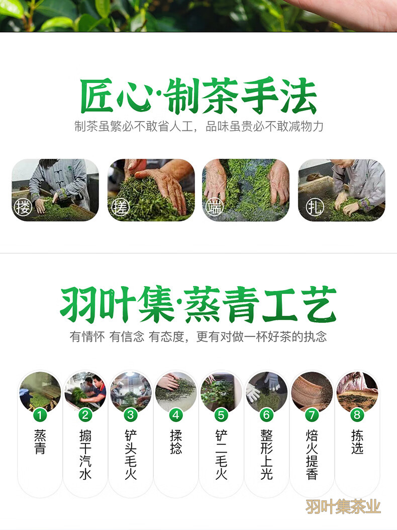 羽叶集恩施玉露明前头采特级硒茶羽叶集蒸青绿茶茶叶礼盒中秋节国庆节送长辈200g
