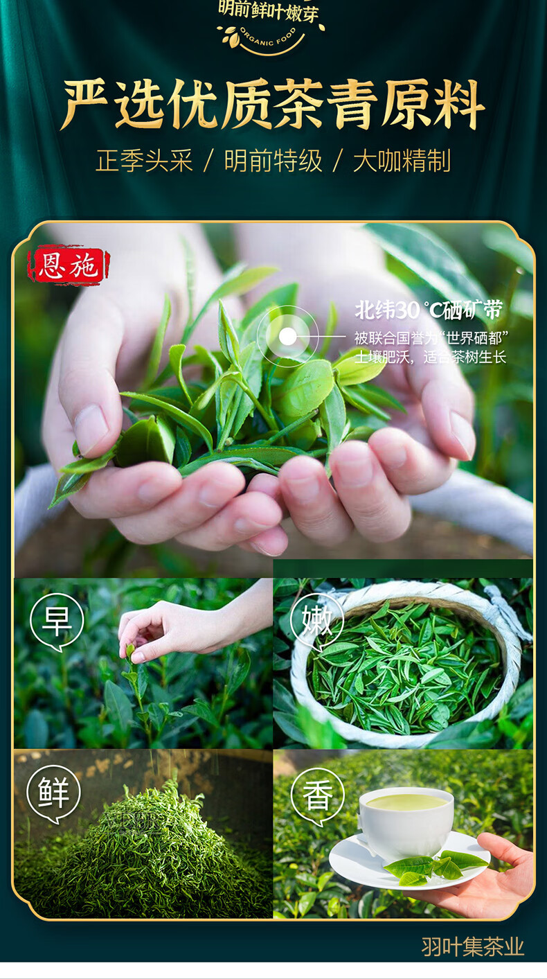 羽叶集恩施玉露明前头采特级硒茶羽叶集蒸青绿茶茶叶礼盒中秋节国庆节送长辈200g