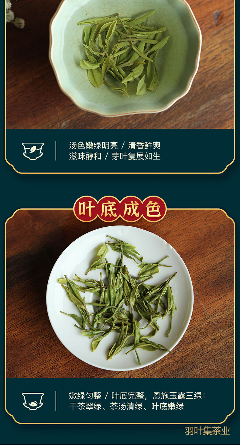 羽叶集恩施玉露明前头采特级硒茶羽叶集蒸青绿茶茶叶礼盒中秋节国庆节送长辈200g