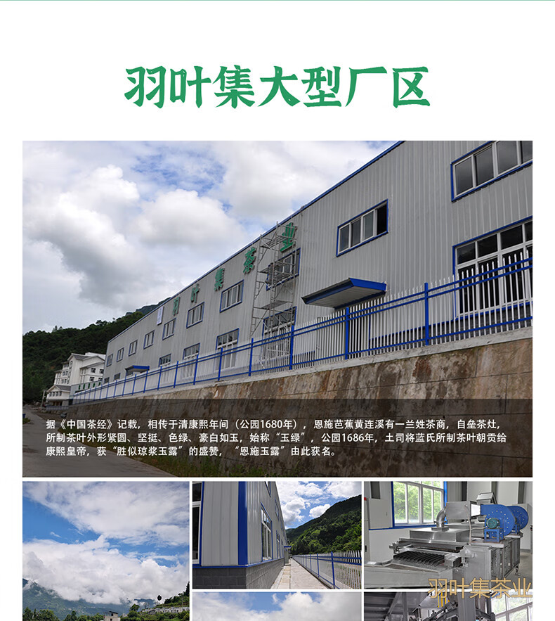 羽叶集恩施玉露明前头采特级硒茶羽叶集蒸青绿茶茶叶礼盒中秋节国庆节送长辈200g