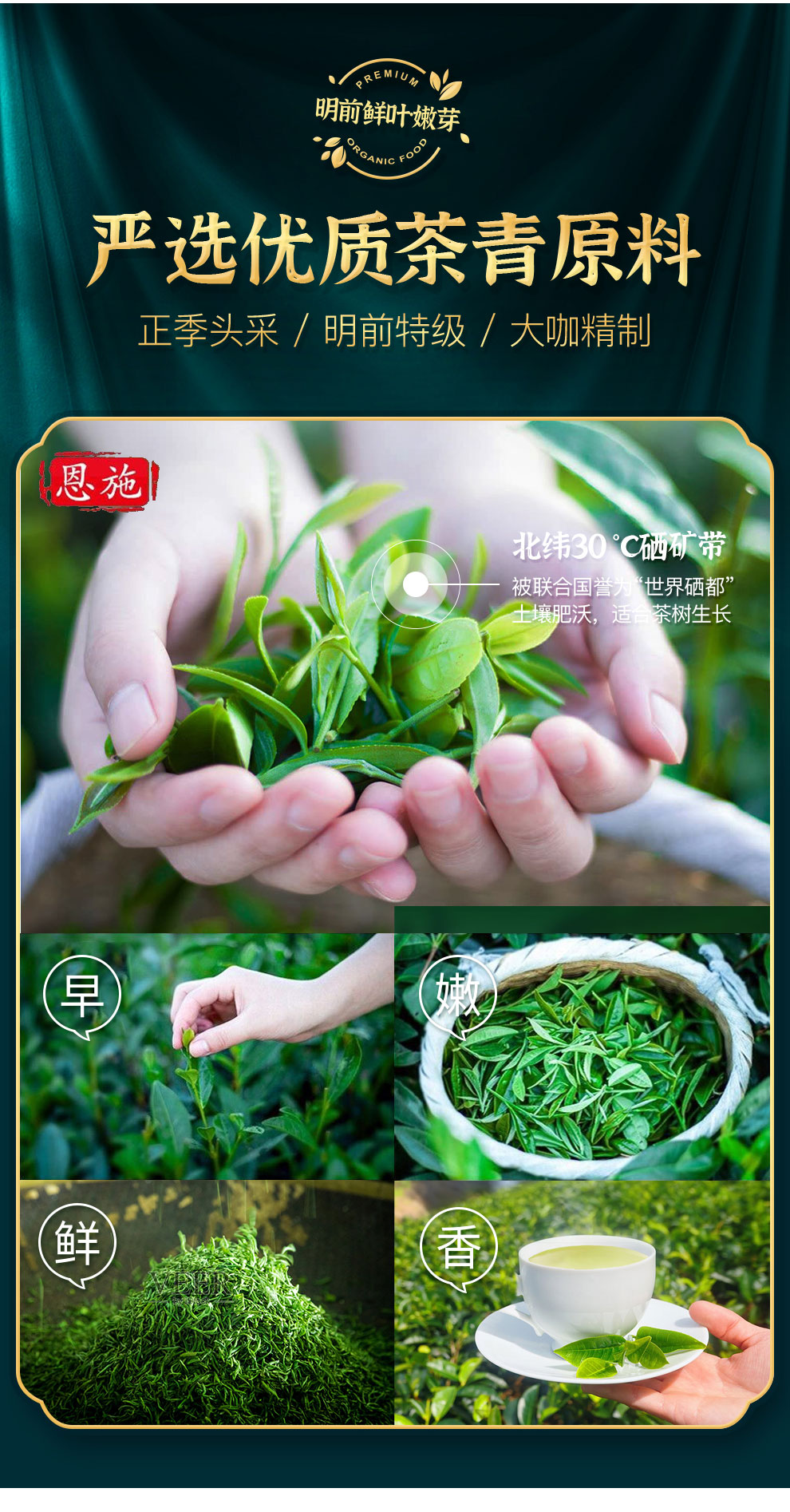 羽叶集恩施玉露绿茶茶叶 羽叶集明前头采春茶礼盒中秋节送礼国庆节送长辈200g