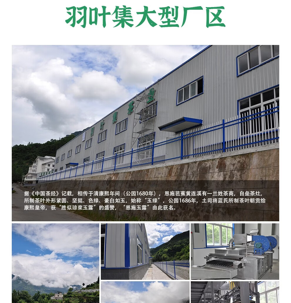 恩施玉露明前头采蒸青绿茶恩施硒茶茶叶礼盒中秋节国庆节礼物送长辈240g