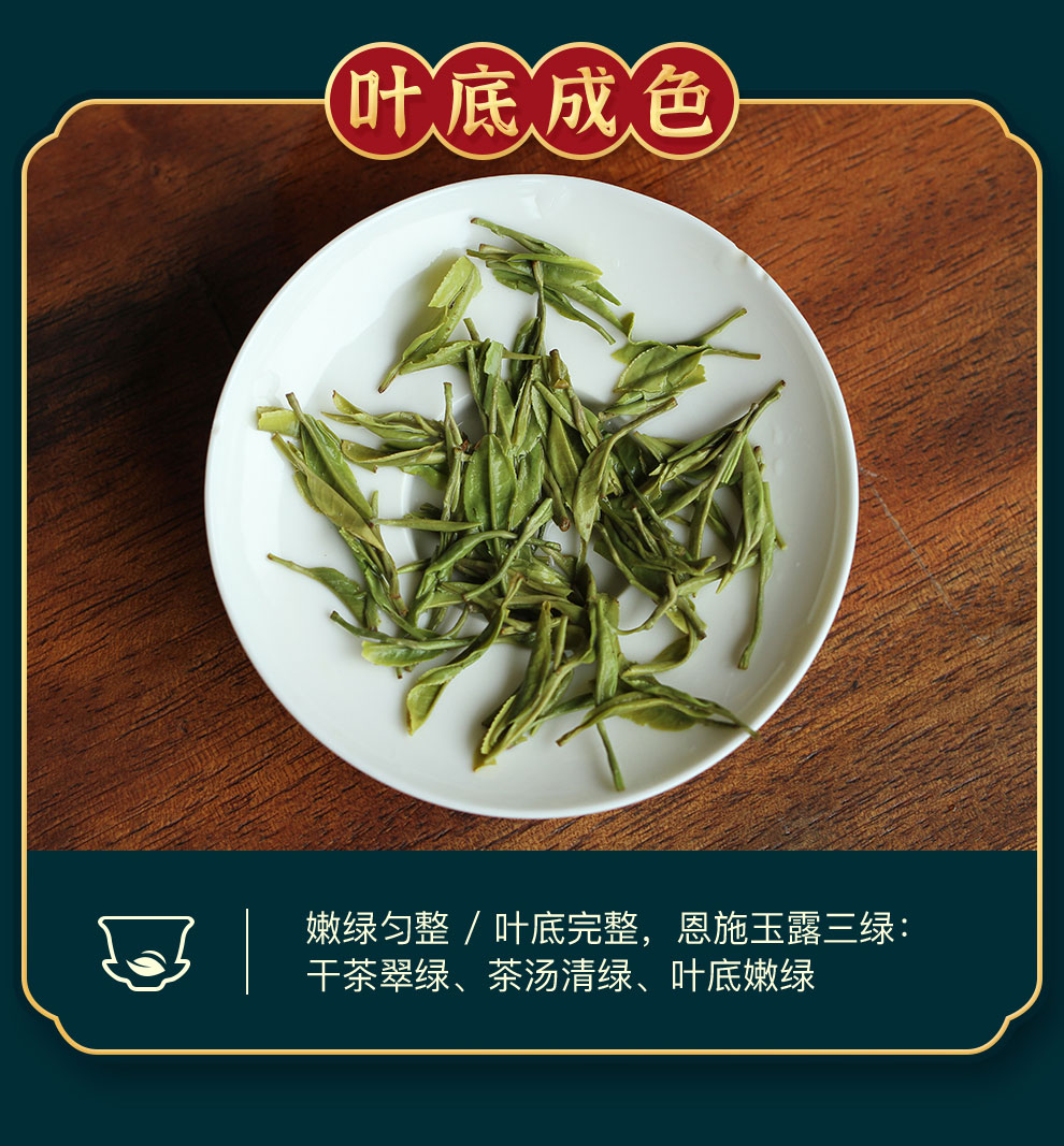 羽叶集恩施玉露绿茶茶叶 羽叶集明前头采春茶礼盒中秋节送礼国庆节送长辈200g