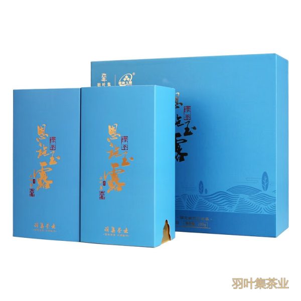 羽叶集恩施玉露明前春茶羽叶集蒸青绿茶叶礼盒恩施硒茶中秋节国庆节送长辈200g