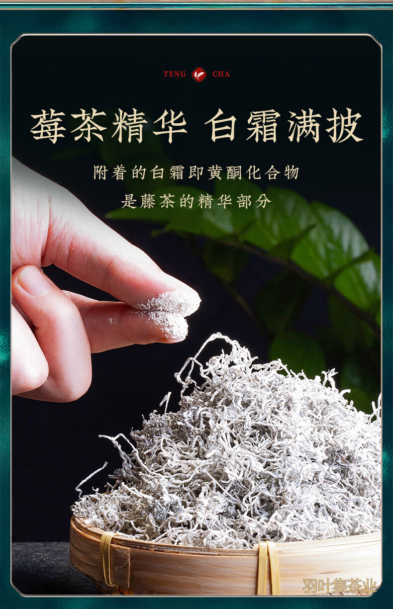 羽叶集恩施藤茶硒茶龙须莓茶养生茶特级芽尖中秋节送长辈便携小罐30克