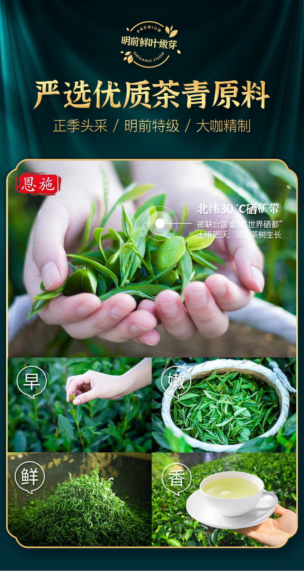 恩施玉露明前头采蒸青绿茶恩施硒茶茶叶礼盒中秋节国庆节礼物送长辈240g