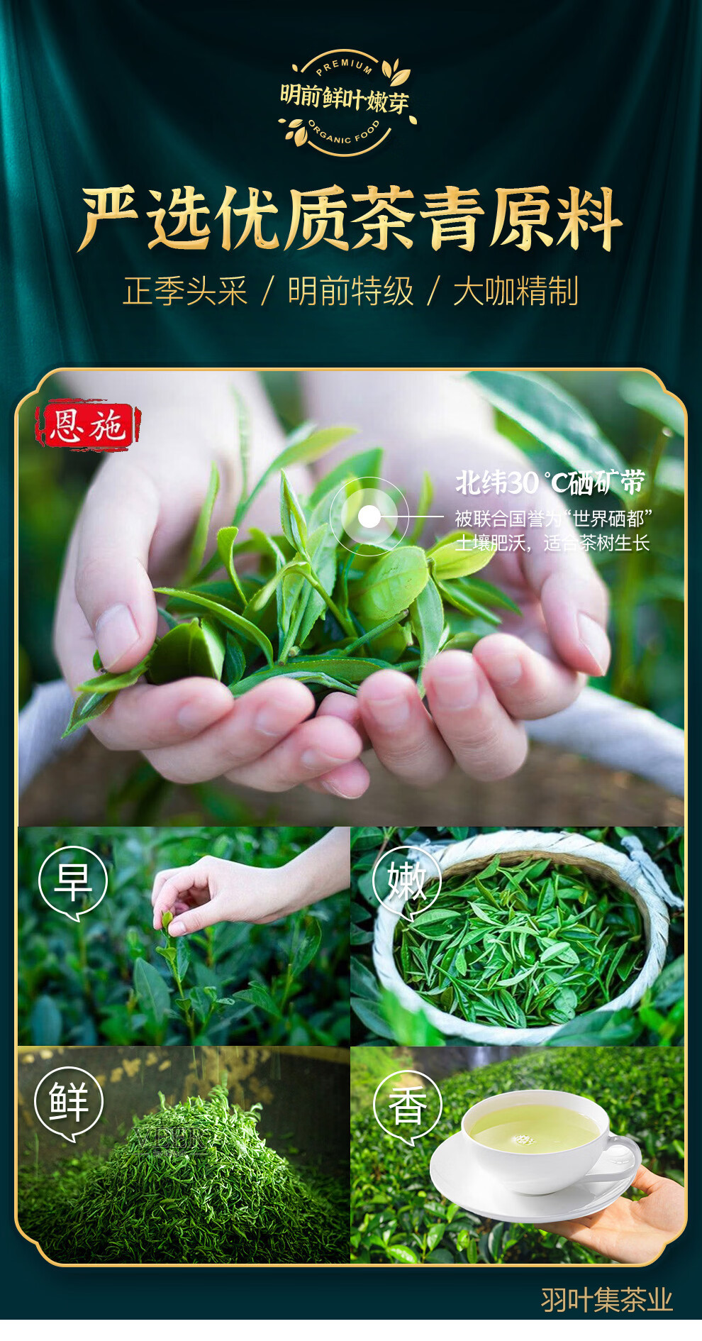 羽叶集恩施玉露明前头采蒸青绿茶恩施硒茶茶叶礼盒中秋节国庆节礼物送长辈160g