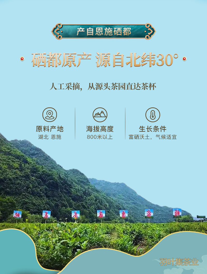 200克_05