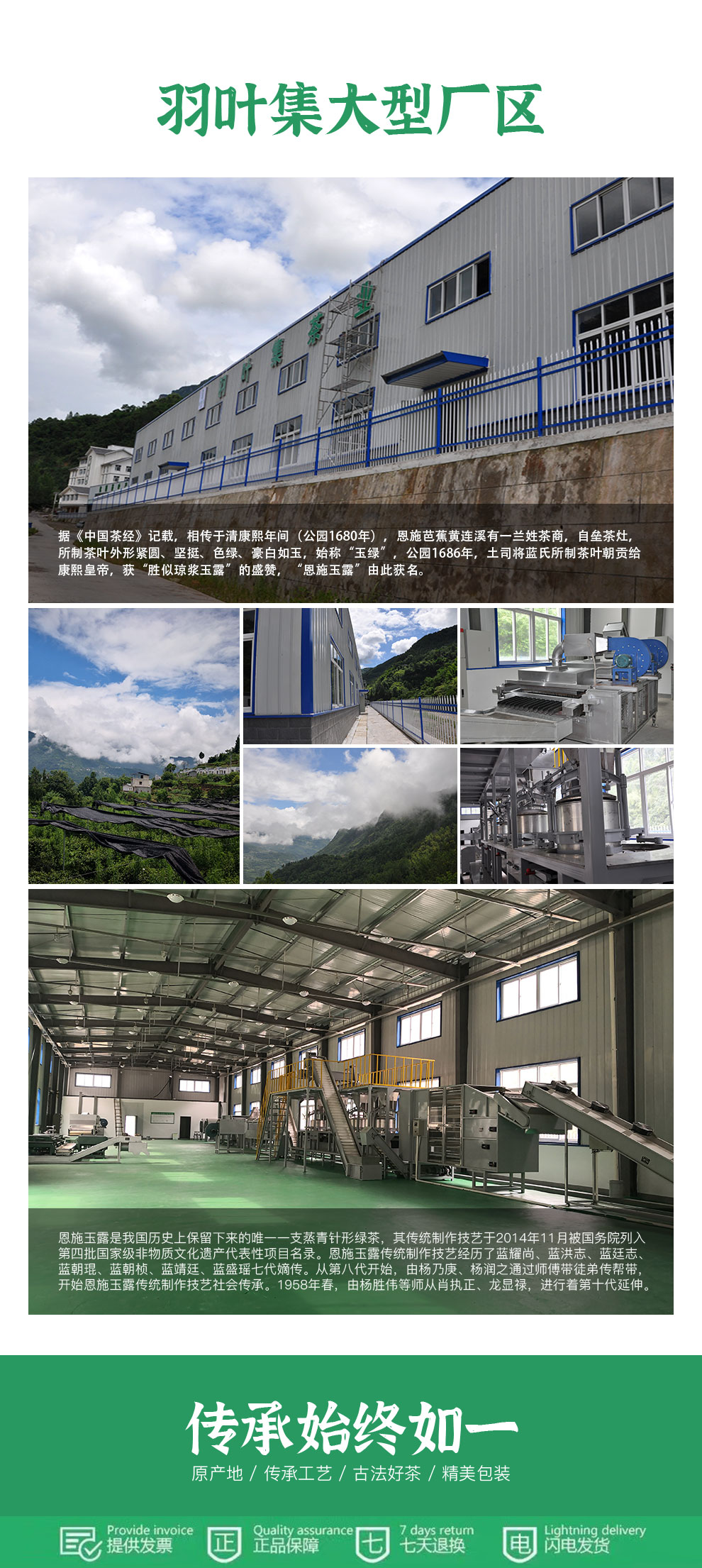 羽叶集恩施玉露绿茶茶叶 羽叶集明前头采春茶礼盒中秋节送礼国庆节送长辈200g