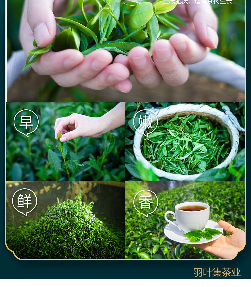 羽叶集恩施玉露明前蒸青绿茶恩施硒茶羽叶集茶叶礼盒中秋节教师节礼物送老师320g