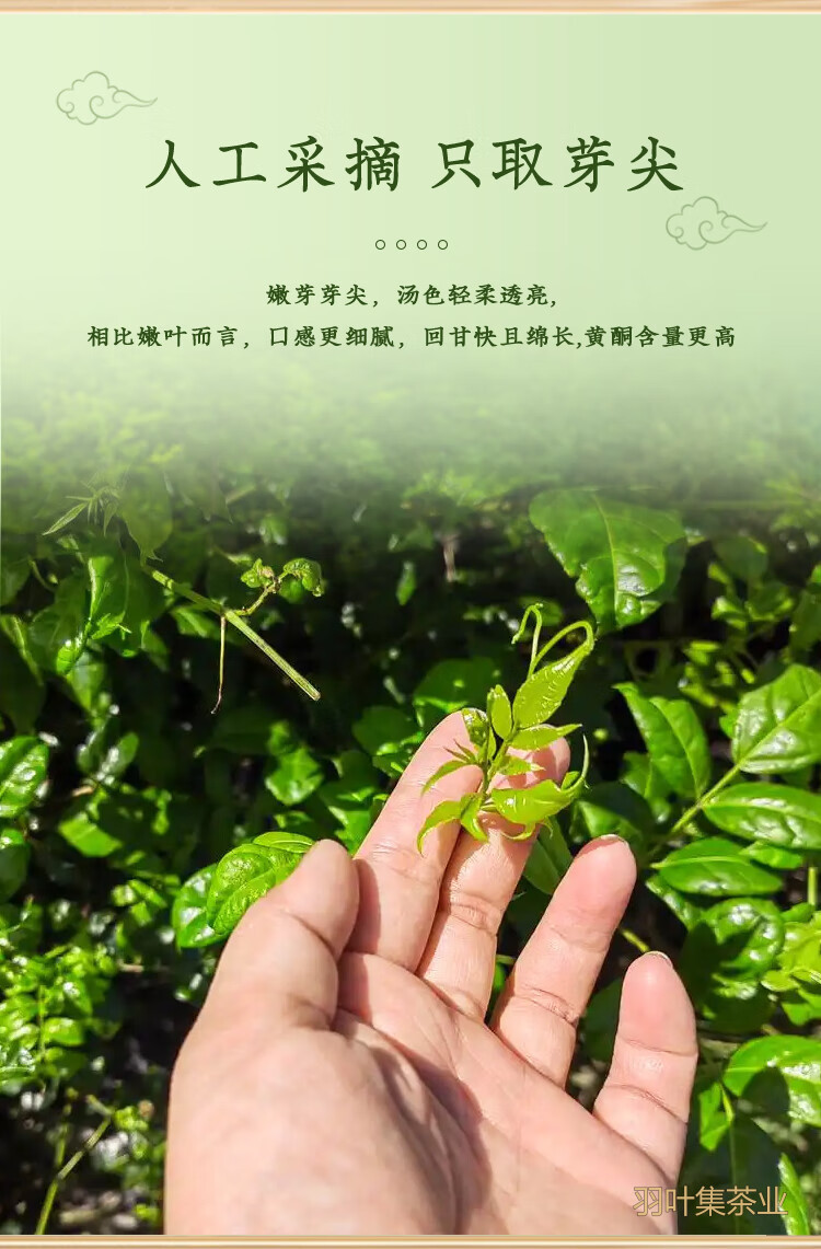 羽叶集恩施藤茶特级龙须芽尖莓茶养生茶湖北特产藤享200克