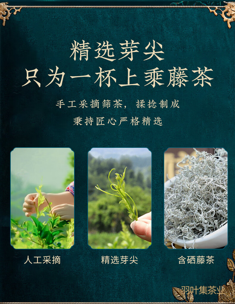 羽叶集恩施藤茶硒茶龙须莓茶养生茶特级芽尖中秋节送长辈便携小罐30克
