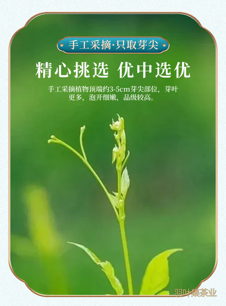 羽叶集恩施藤茶高山硒茶富含黄酮莓茶茶叶108g*2罐