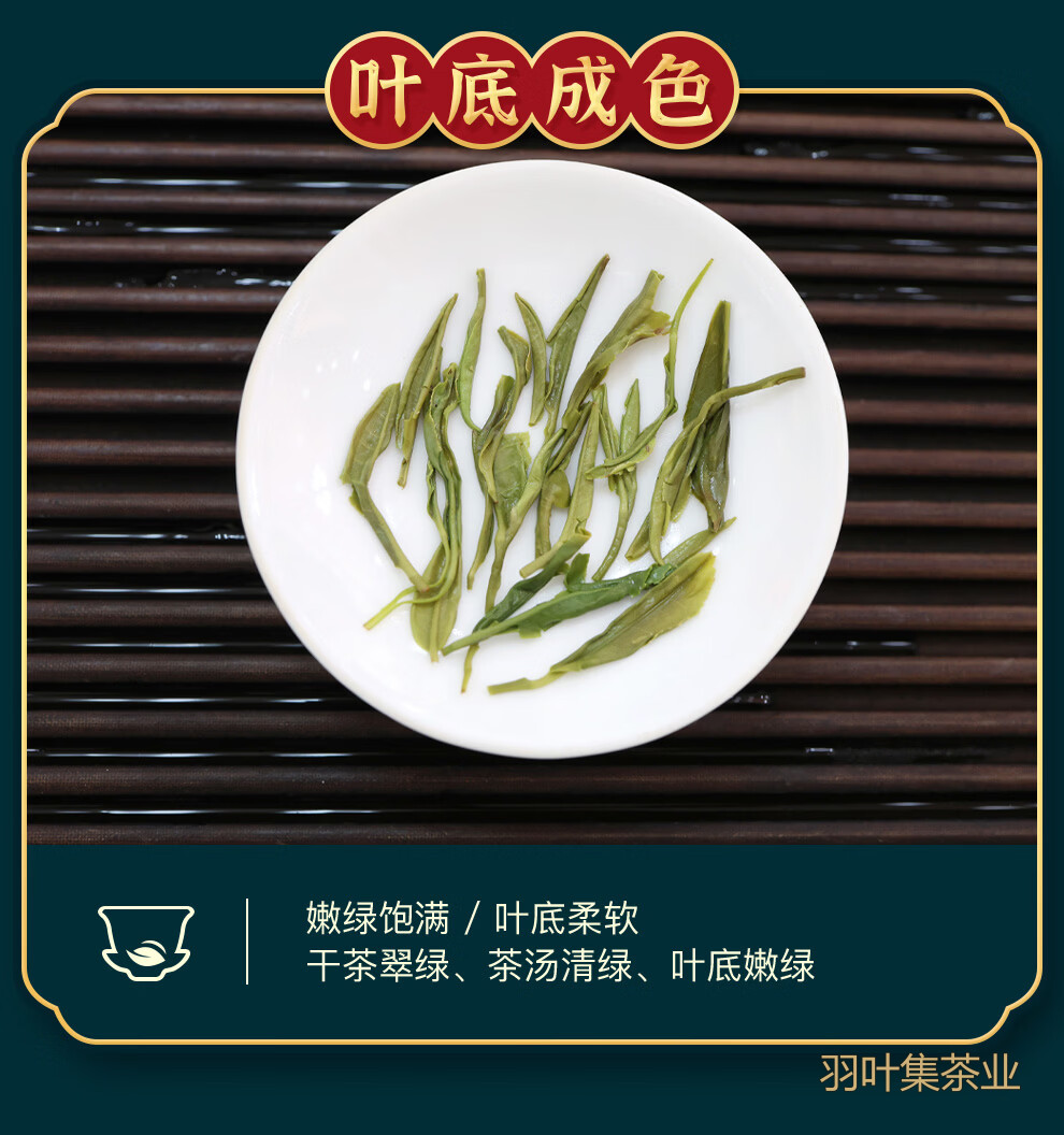 羽叶集明前恩施玉露口粮茶羽硕500g