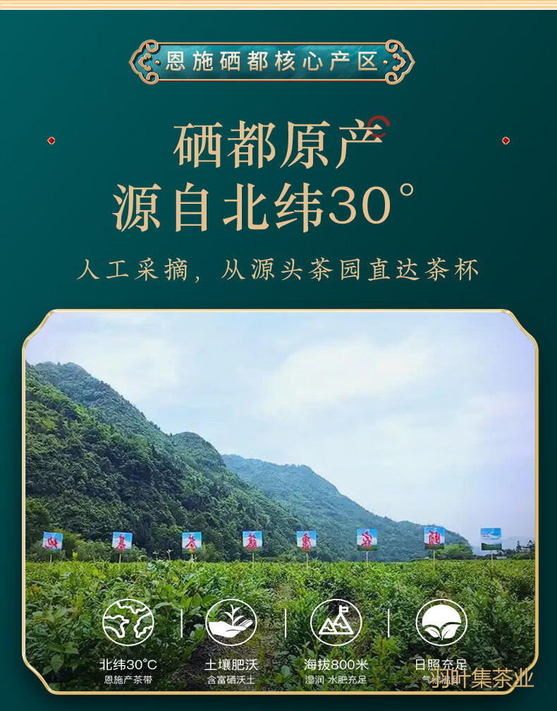 羽叶集恩施藤茶硒茶龙须芽尖养生茶自己喝礼物中秋节送礼送长辈T160克