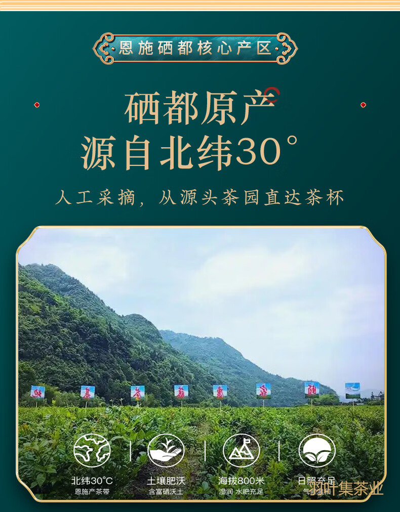 羽叶集恩施藤茶高山硒茶富含黄酮莓茶茶叶藤云130g*2罐