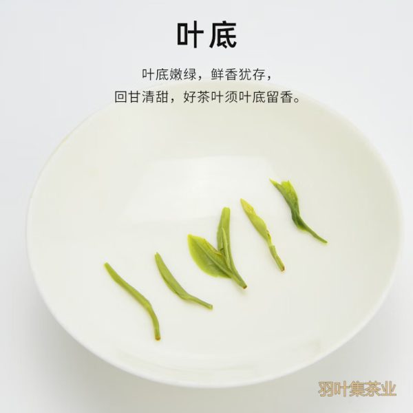 羽叶集恩施玉露明前蒸青茶恩施硒茶羽叶集茶叶礼盒中秋节送礼国庆节送长辈160g