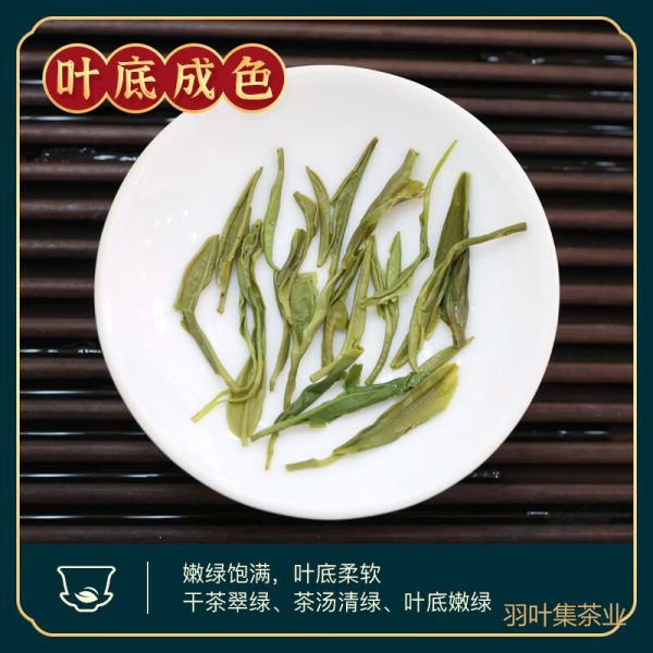 羽叶集明前恩施玉露口粮茶羽硕500g
