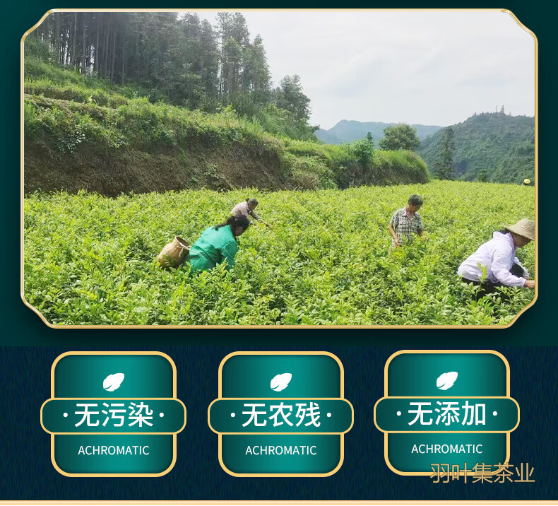 羽叶集恩施藤茶硒茶龙须芽尖养生茶自己喝礼物中秋节送礼送长辈T160克