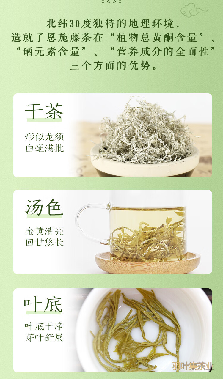 羽叶集恩施藤茶硒茶龙须芽尖养生茶口粮茶自己喝Y300克