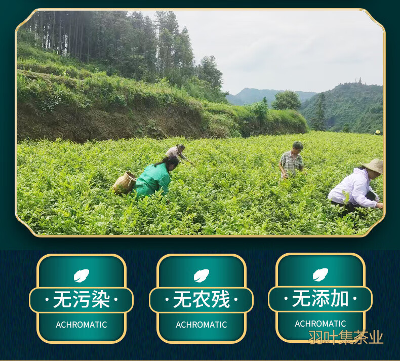 羽叶集恩施藤茶高山硒茶富含黄酮莓茶茶叶藤云130g*2罐