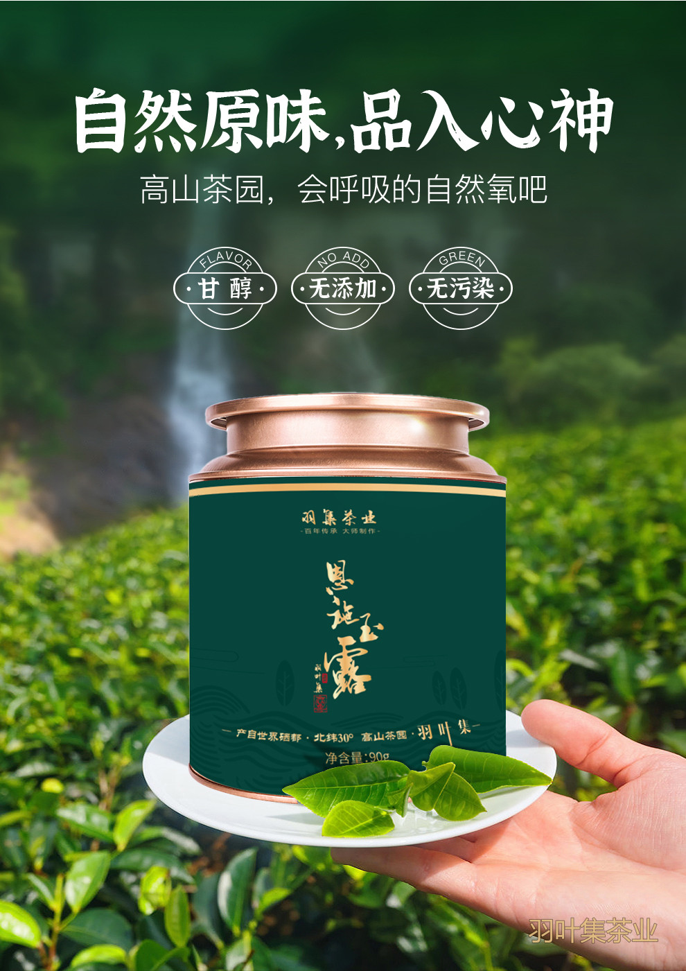 羽叶集明前特级恩施玉露独立小袋装T90
